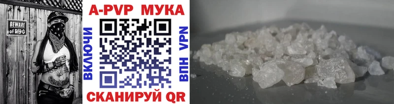 блэк спрут ссылки  Мыски  Alfa_PVP крисы CK 