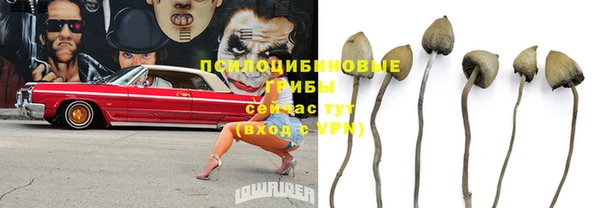 MDMA Premium VHQ Алзамай