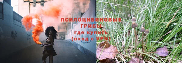 сатива Алексин