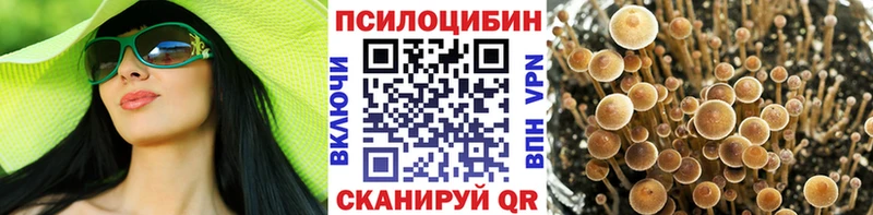 Галлюциногенные грибы Psilocybe  Мыски 